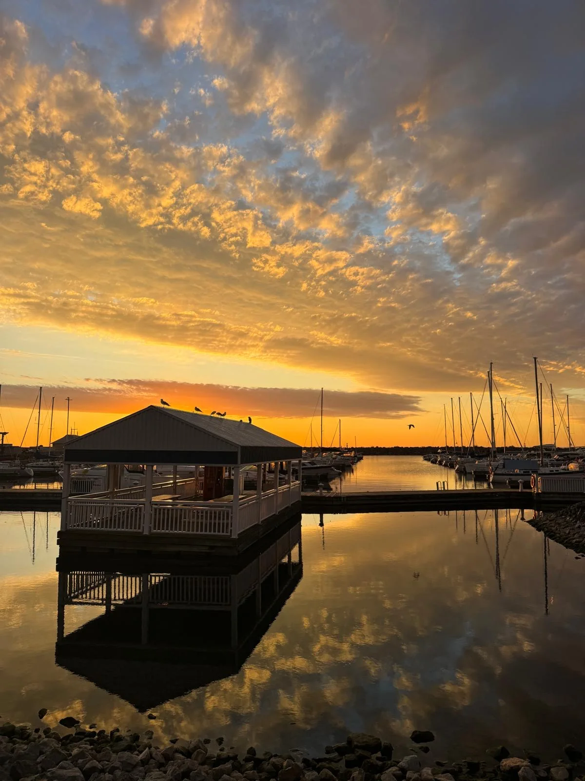 Oakville harbour at sunset: gulls on the roof of a covered pier, sailboat masts, and a sky of gold cloud mirrored in still water. Her photograph.