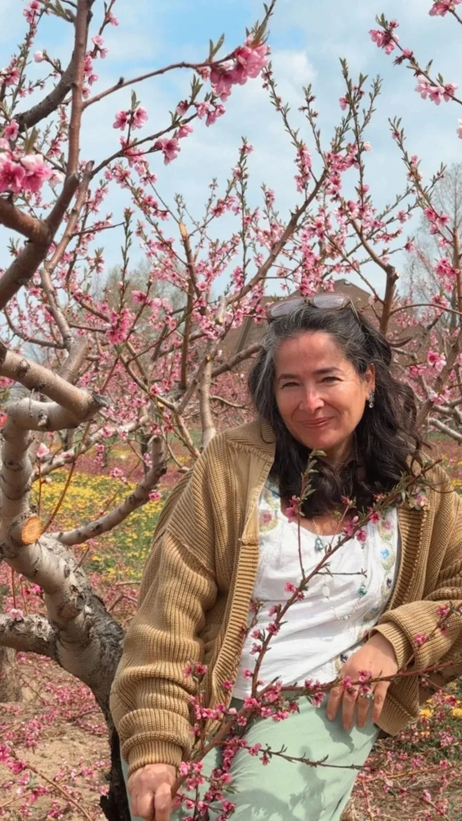 Aroub Soubh today, in a white blouse and a camel cardigan, among peach trees in blossom, Niagara, spring.